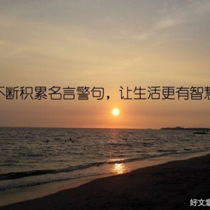 不断积累名言警句，让生活更有智慧