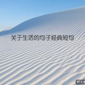 关于生活的句子经典短句