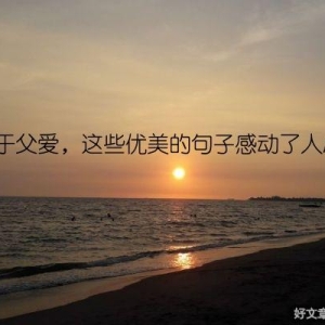 关于父爱，这些优美的句子感动了人心！