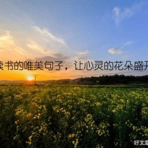读书的唯美句子，让心灵的花朵盛开