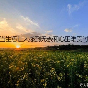 当生活让人感到无奈和心里难受时