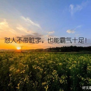怼人不带脏字，也能霸气十足！