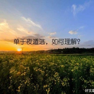 单于夜遁逃，如何理解？