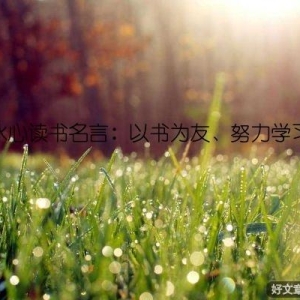 冰心读书名言：以书为友、努力学习
