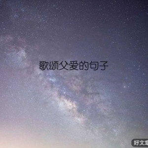 歌颂父爱的句子