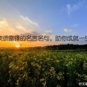 歌颂雷锋的名言名句，助你成就一生