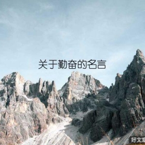 关于勤奋的名言