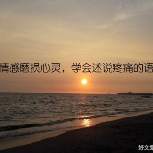 当情感磨损心灵，学会述说疼痛的语录
