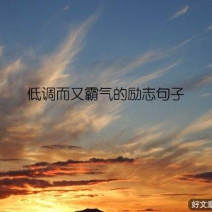 低调而又霸气的励志句子