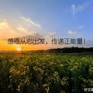 感恩从心出发，传递正能量！
