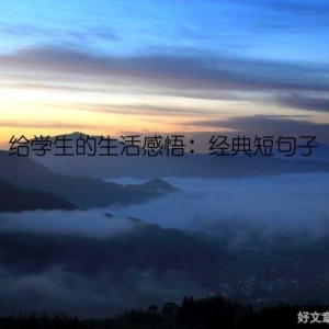 给学生的生活感悟：经典短句子