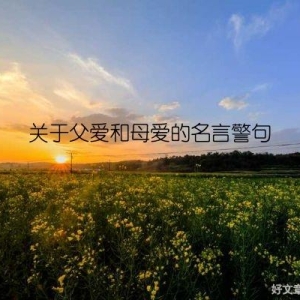 关于父爱和母爱的名言警句