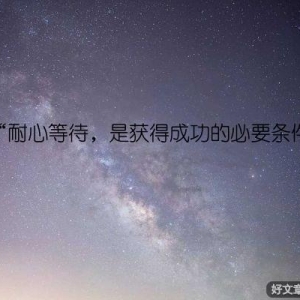 “耐心等待，是获得成功的必要条件”