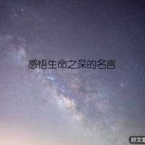 感悟生命之深的名言