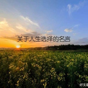 关于人生选择的名言