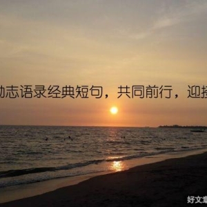 初三励志语录经典短句，共同前行，迎接未来