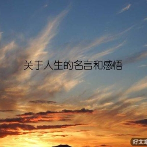 关于人生的名言和感悟
