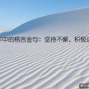 工作中的格言金句：坚持不懈，积极进取