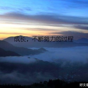 成长，不断努力的过程