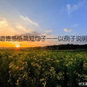 道德感悟简短句子——以例子说明