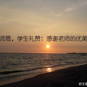 感恩师恩，学生礼赞：感谢老师的优美句子