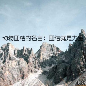 动物团结的名言：团结就是力量