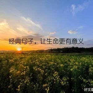 经典句子，让生命更有意义