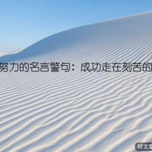刻苦努力的名言警句：成功走在刻苦的路上