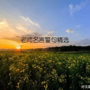 老师名言警句精选