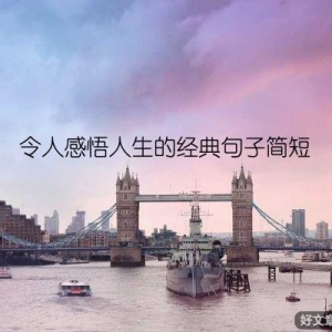 令人感悟人生的经典句子简短