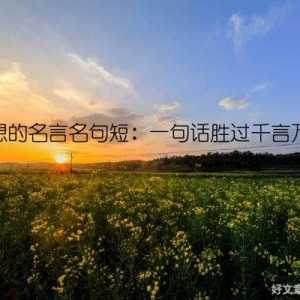 理想的名言名句短：一句话胜过千言万语