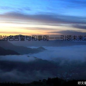 理想的名言警句和事例——引领未来之路