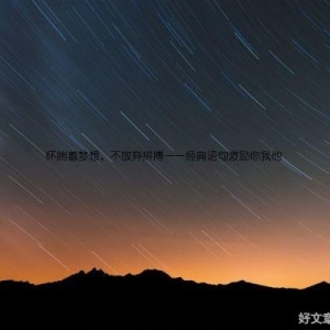 怀揣着梦想，不放弃拼搏——经典语句激励你我他