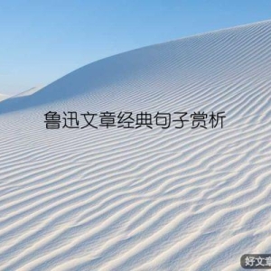鲁迅文章经典句子赏析