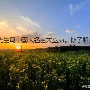 鲁迅先生骂中国人名言大盘点，你了解多少？