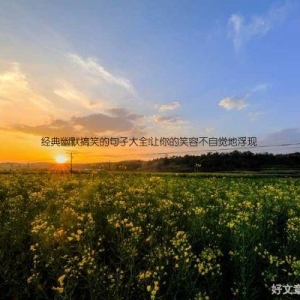 经典幽默搞笑的句子大全!让你的笑容不自觉地浮现