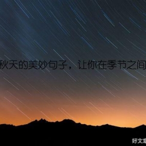 描写秋天的美妙句子，让你在季节之间穿梭