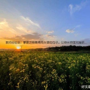 教师经验谈：掌握这些高情商失望的句子，让你从容面对挫折