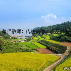 尊师敬师：传统美德，焕发新生