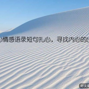 伤心情感语录短句扎心，寻找内心的出口
