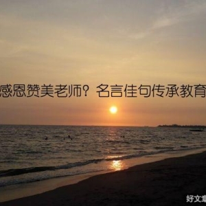 如何感恩赞美老师？名言佳句传承教育之情