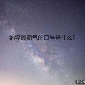 纳粹最霸气的口号是什么？