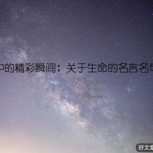 生命中的精彩瞬间：关于生命的名言名句短句