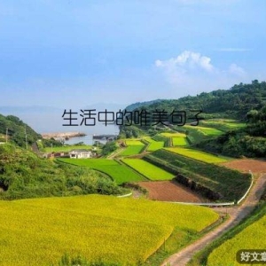 生活中的唯美句子