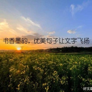 书香墨韵，优美句子让文字飞扬