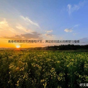 青春格言励志名言佳句大全，满足你对成长的期望与憧憬