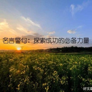 名言警句：探索成功的必备力量