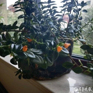 许欣忠：品读《断舍离》有感
