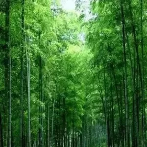 必读的人生感悟，深刻透彻，人间清醒