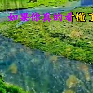 老祖宗留下的十句经典语录
